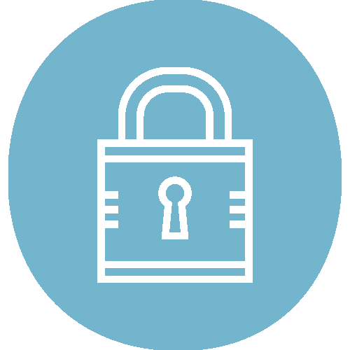 ICON_security_blue